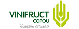 VINIFRUCT COPOU