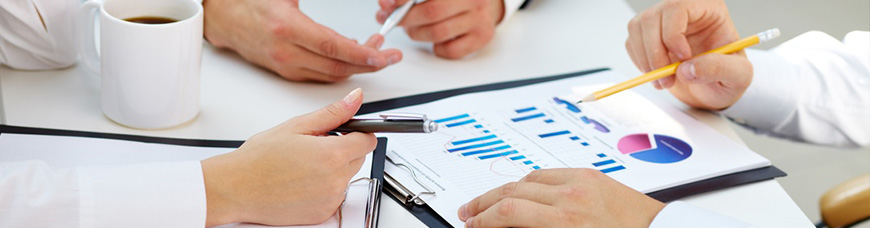 analize de business